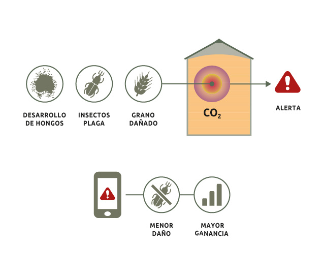 Detección de Dióxido de Carbono